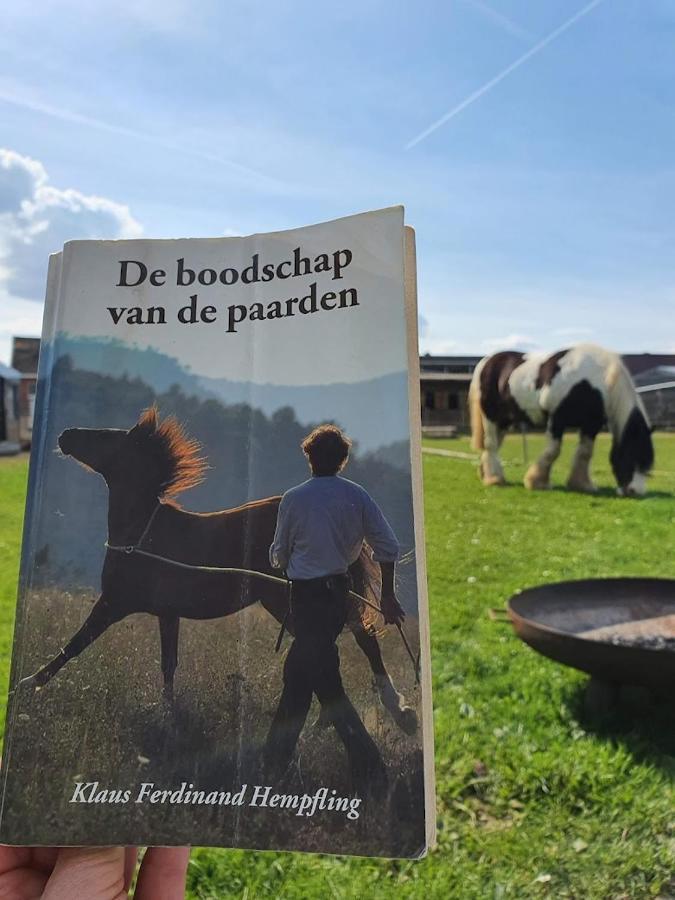 Houten Huisje Tussen Paarden Nieuwerkerken Exterior foto