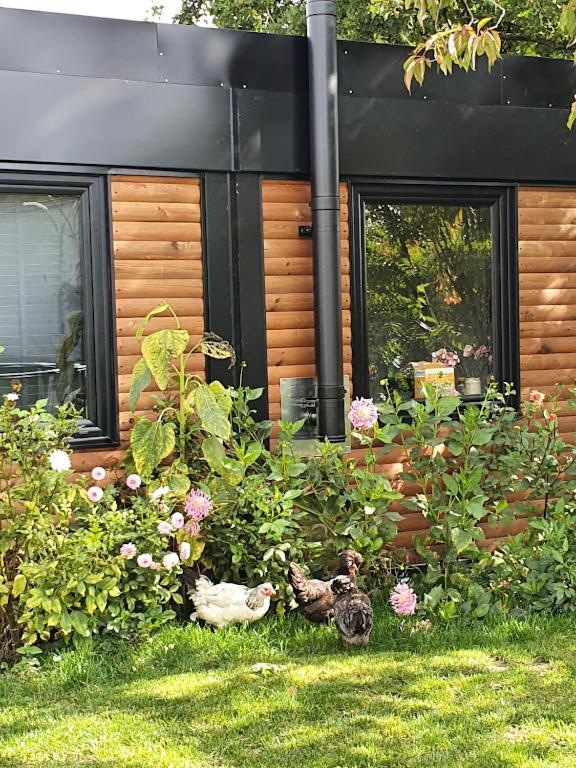 Houten Huisje Tussen Paarden Nieuwerkerken Exterior foto