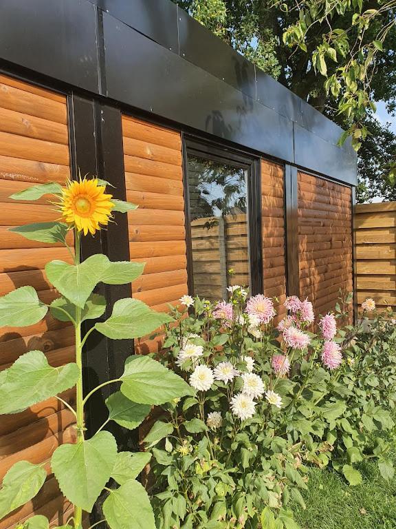 Houten Huisje Tussen Paarden Nieuwerkerken Exterior foto