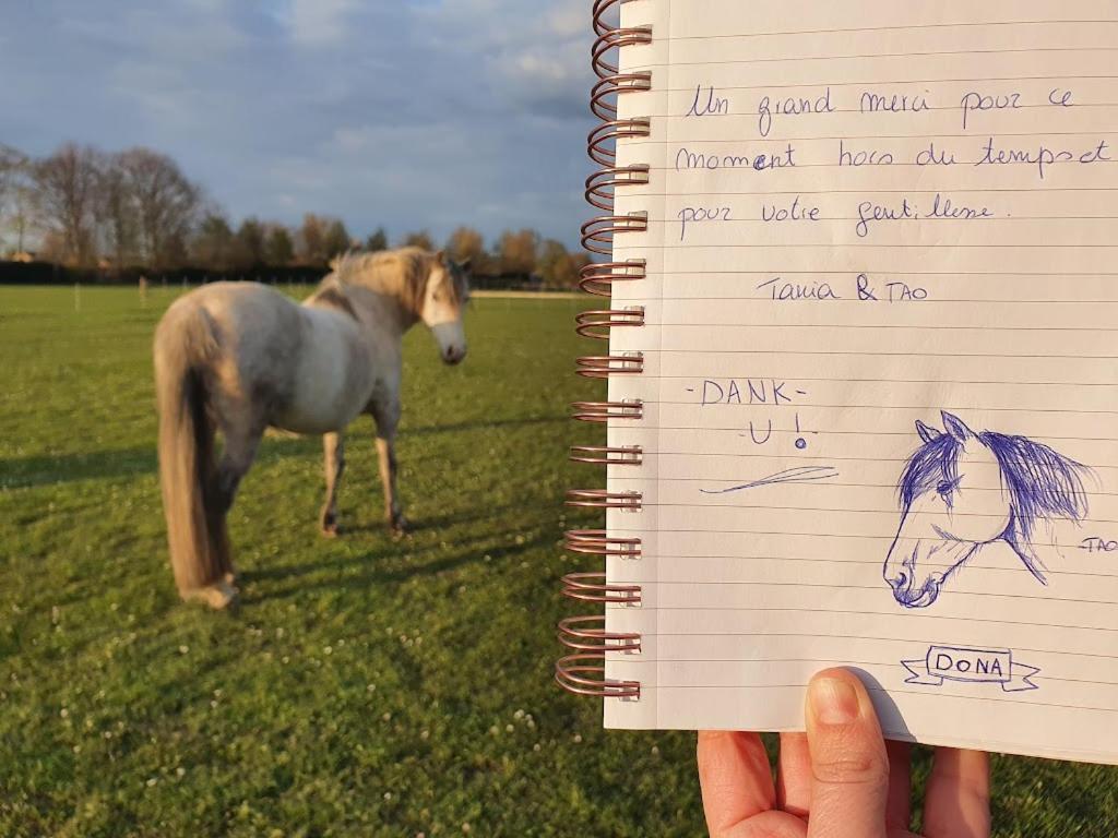 Houten Huisje Tussen Paarden Nieuwerkerken Exterior foto