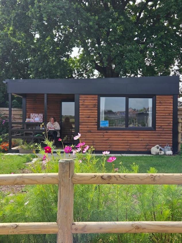 Houten Huisje Tussen Paarden Nieuwerkerken Exterior foto